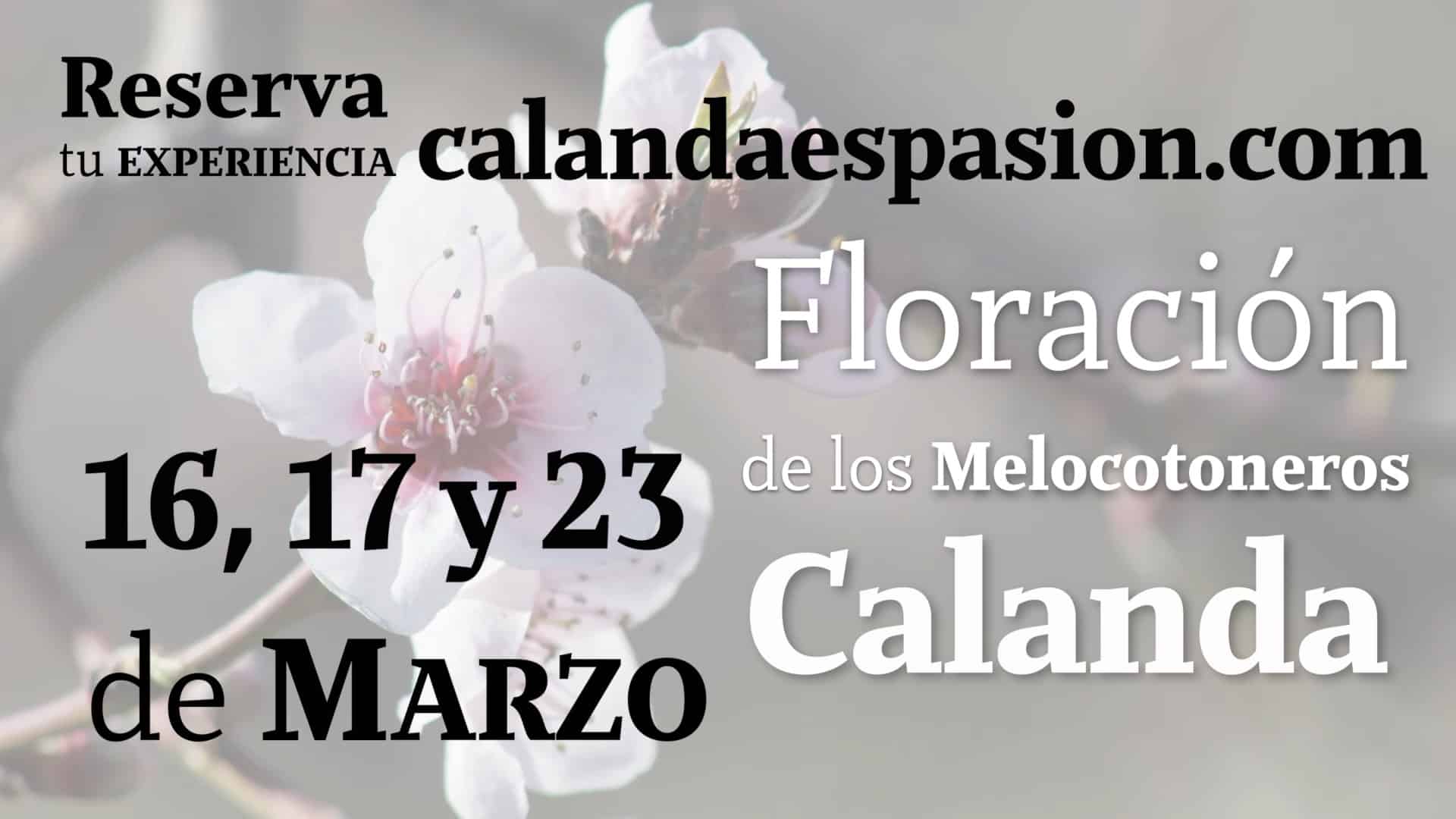 Floracion 24 promo PORTADA COLOR