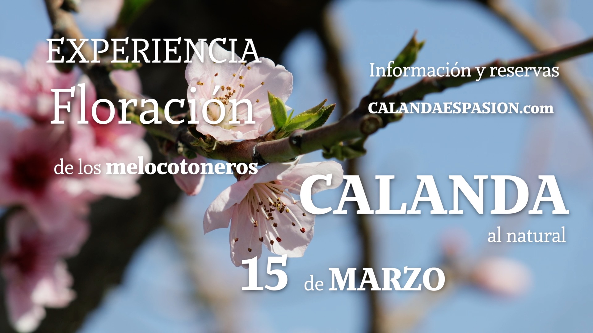 Floracion25 promo