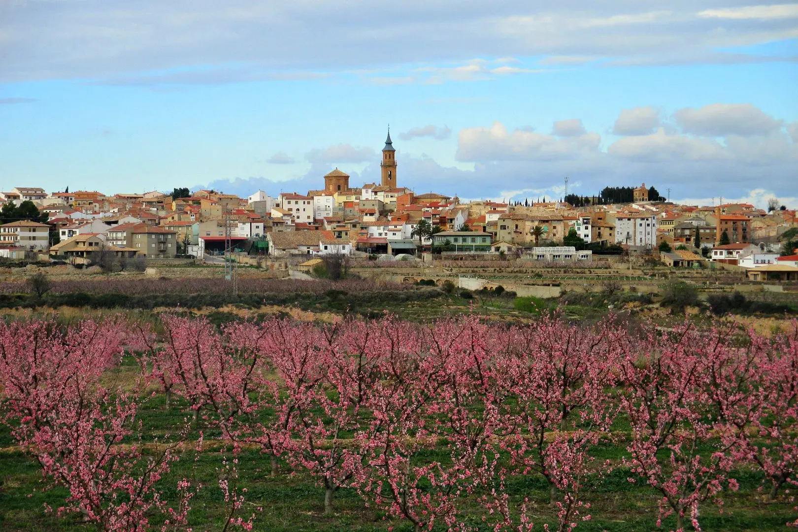 Imagen primavera