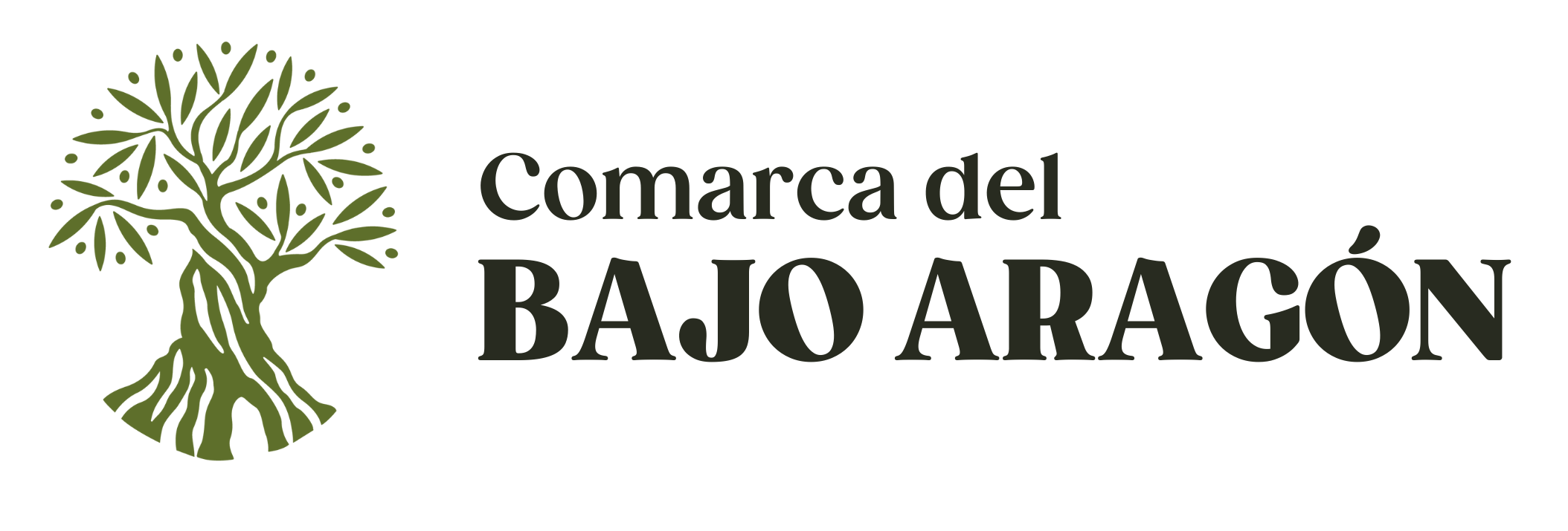 Logo comarca bajoaragon copia